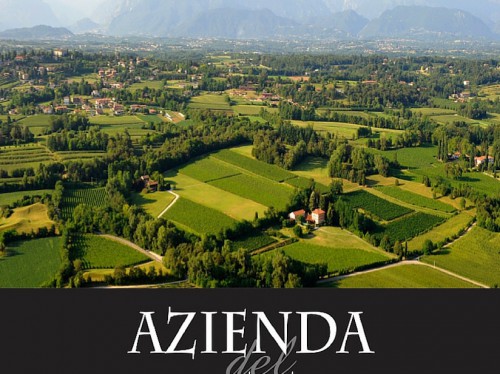 azienda_del_poggio_11