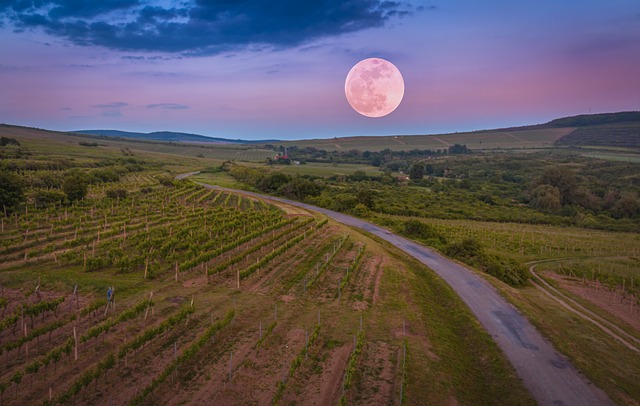 Comunicare il vino grazie ad un'immagine che susciti emozioni